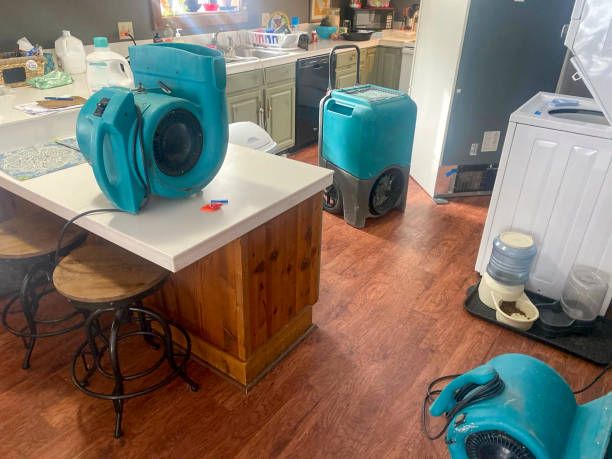 24/7 water damage repair in MS