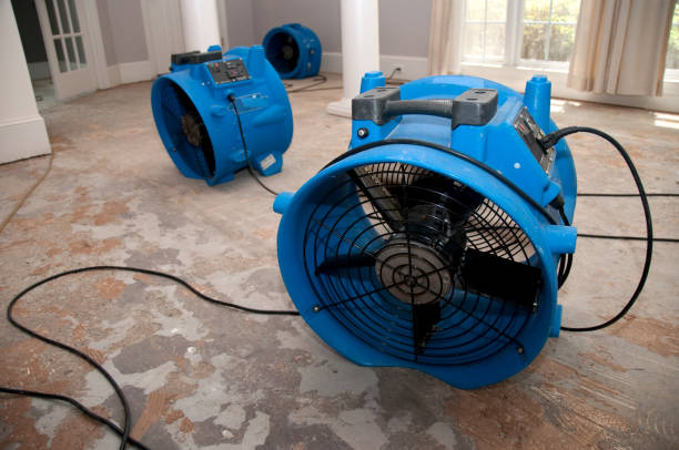 Best Flood damage cleanup  in Lumberton, MS