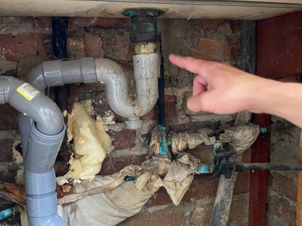 Best Water damage cleanup near me  in Lumberton, MS