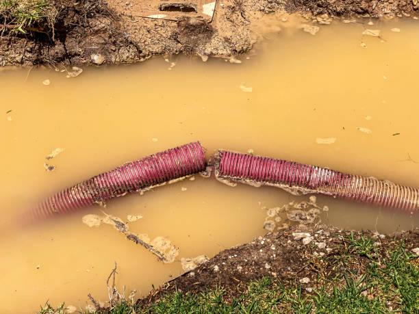 Best Residential water damage restoration  in Lumberton, MS